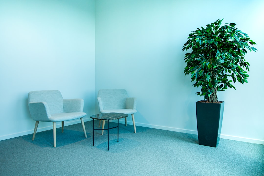 Bright Smile Dental Studio's welcoming reception area with natural light, comfortable seating, and lush plants
